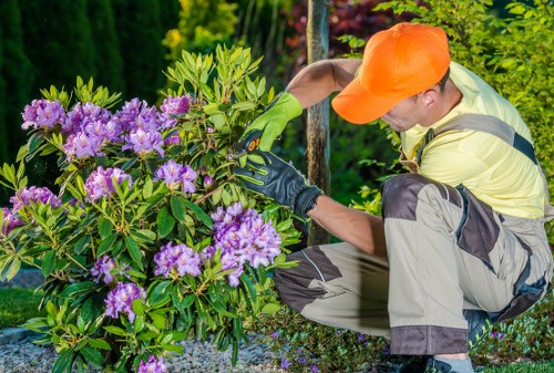 Company staff inspecting a Queens Park garden bed