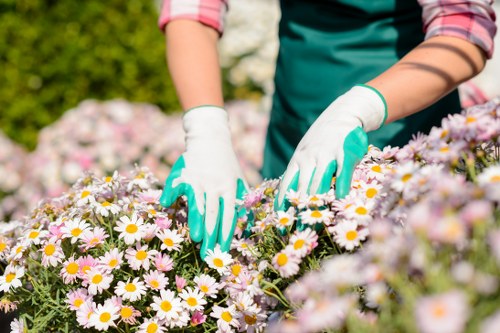 Gardener preparing tools for a remedial lawn maintenance visit