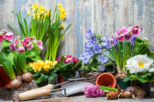 A close-up view of a collection of seasonal flowering plants in pots on a weathered wooden outdoor surface, including yellow daffodils with long green leaves, pink primroses with ruffled petals, blue and purple hydroponica with bell-shaped flowers, and white primroses with yellow centers, all arranged in various containers such as wicker baskets and terracotta pots. In the foreground, gardening tools including a small hand trowel with a wooden handle, a metal fork, and a pink flowering bulb are scattered among freshly dug bulbs and soil. The background features a rustic wooden fence with faded blue and white paint, suggesting a backyard or garden space prepared for planting and landscaping work, emphasizing natural tones and seasonal garden planting activities.