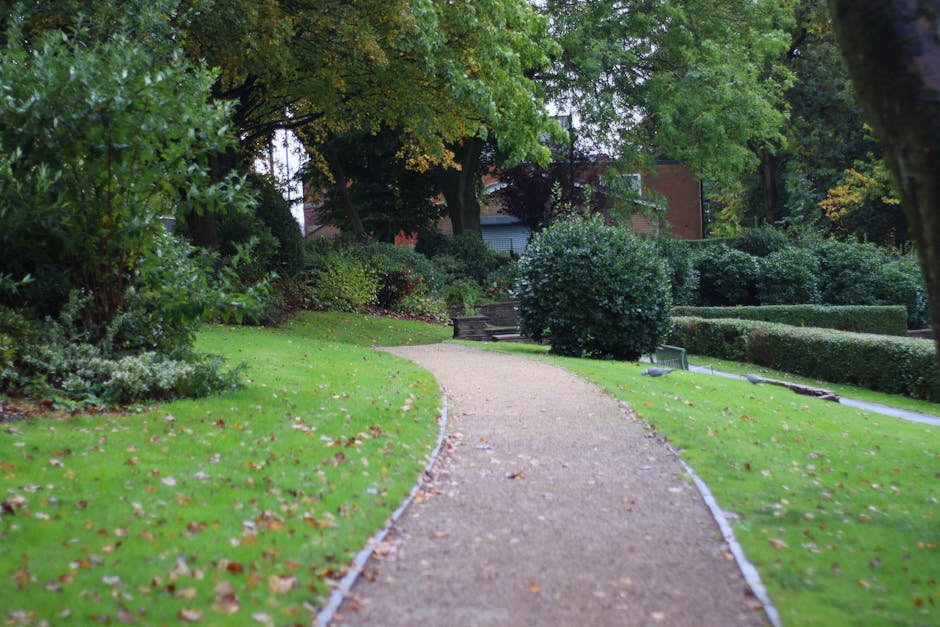 A gently winding garden pathway made of light-colored gravel with a narrow brick border winds through a well-maintained garden bed. The lawn on either side is lush and green, dotted with fallen autumn